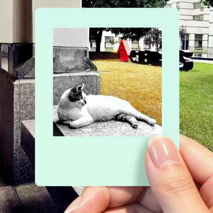 Green E-Paper Fridge Sticker