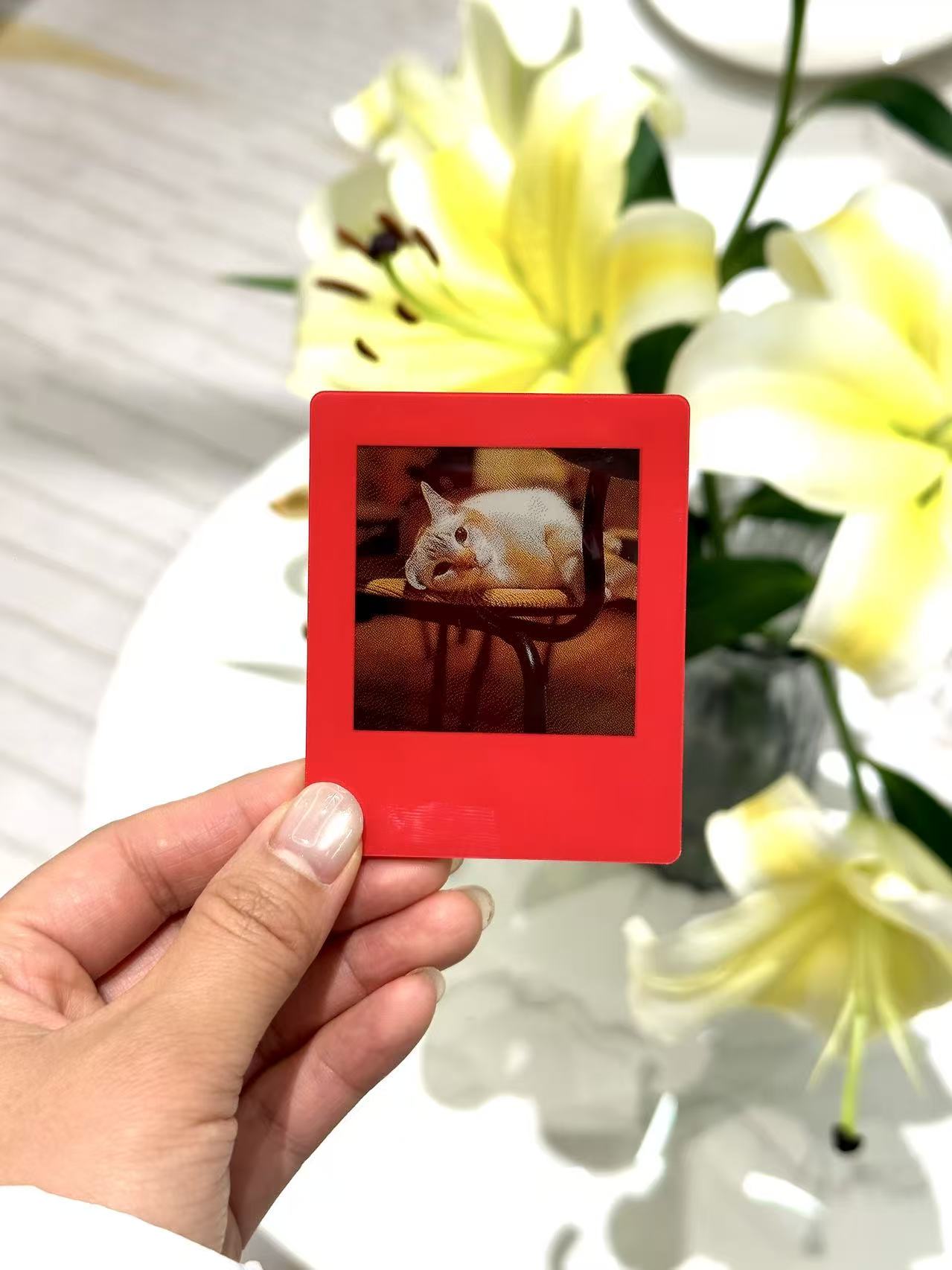 vidabay snap eink screen refrigerator sticker doze