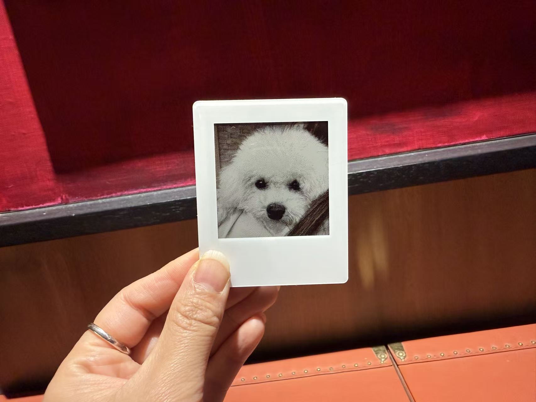vidabay snap eink screen refrigerator sticker dream
