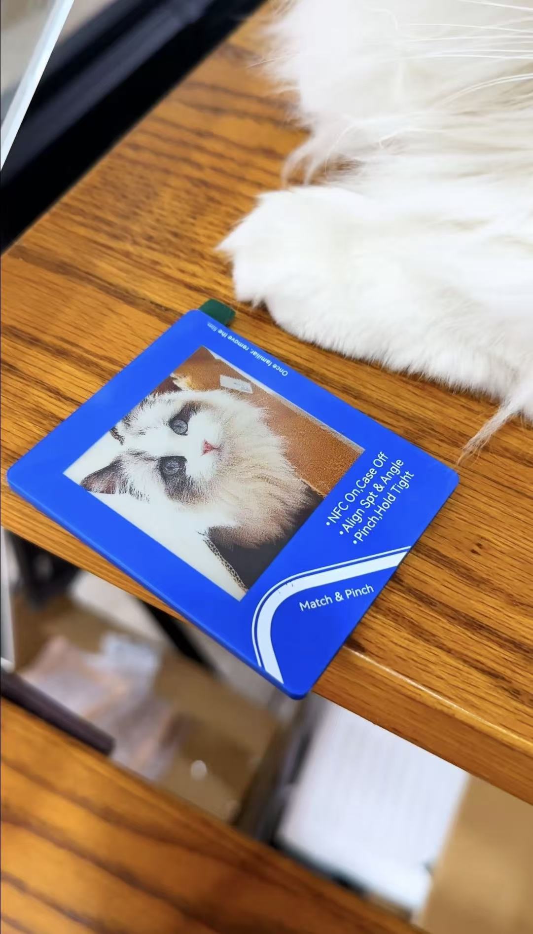 vidabay snap eink screen refrigerator sticker loaf