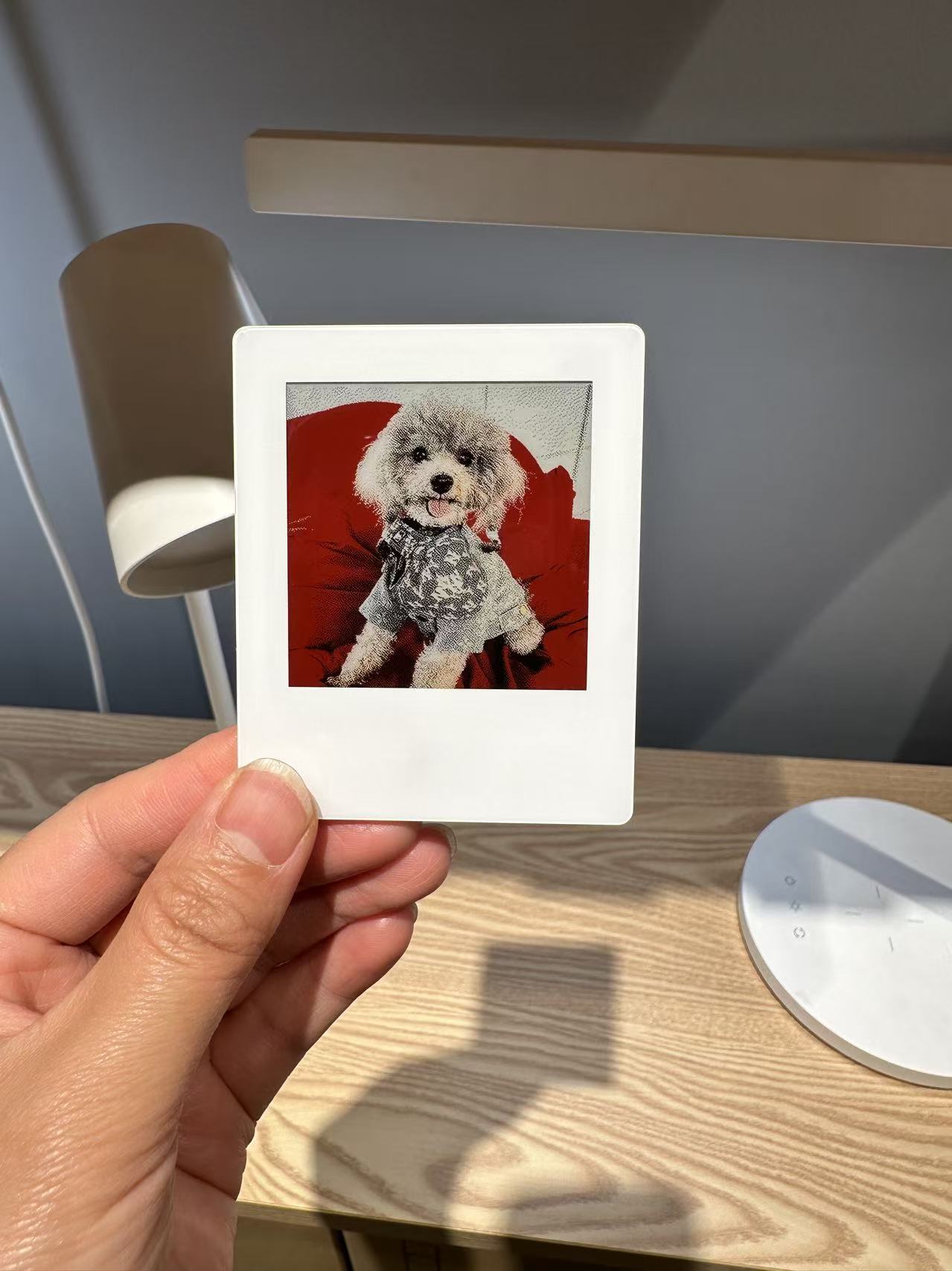 vidabay snap eink screen refrigerator sticker mellow