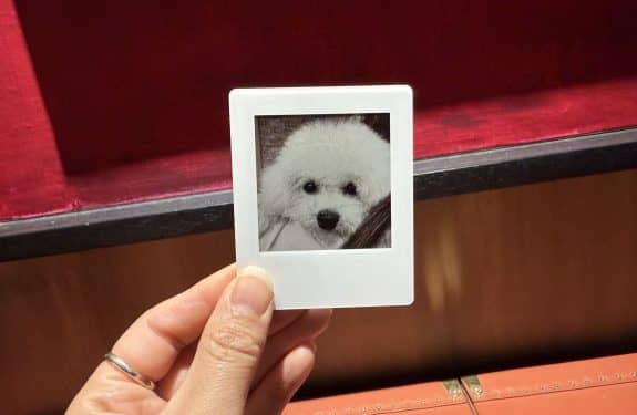 NFC-One-Tap-Photo-Update-Snap-img3