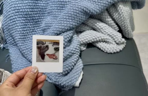 Digital Polaroid For Your Fridge